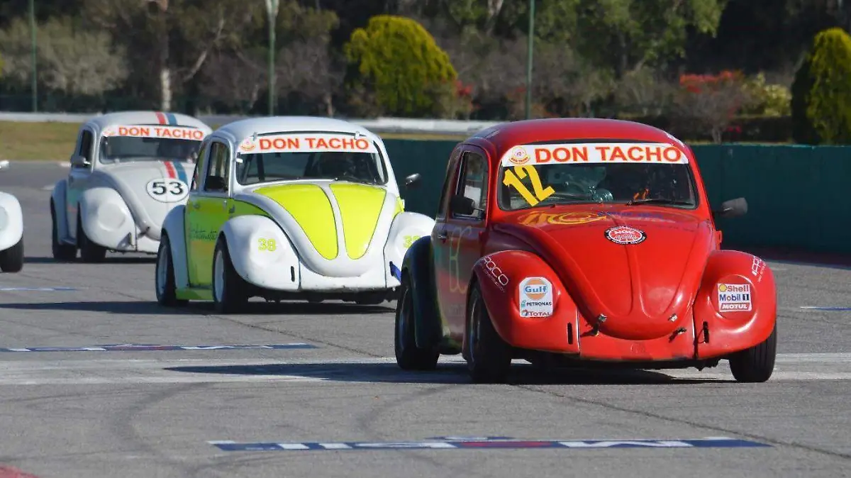 Campeonato Pony SLP (2)