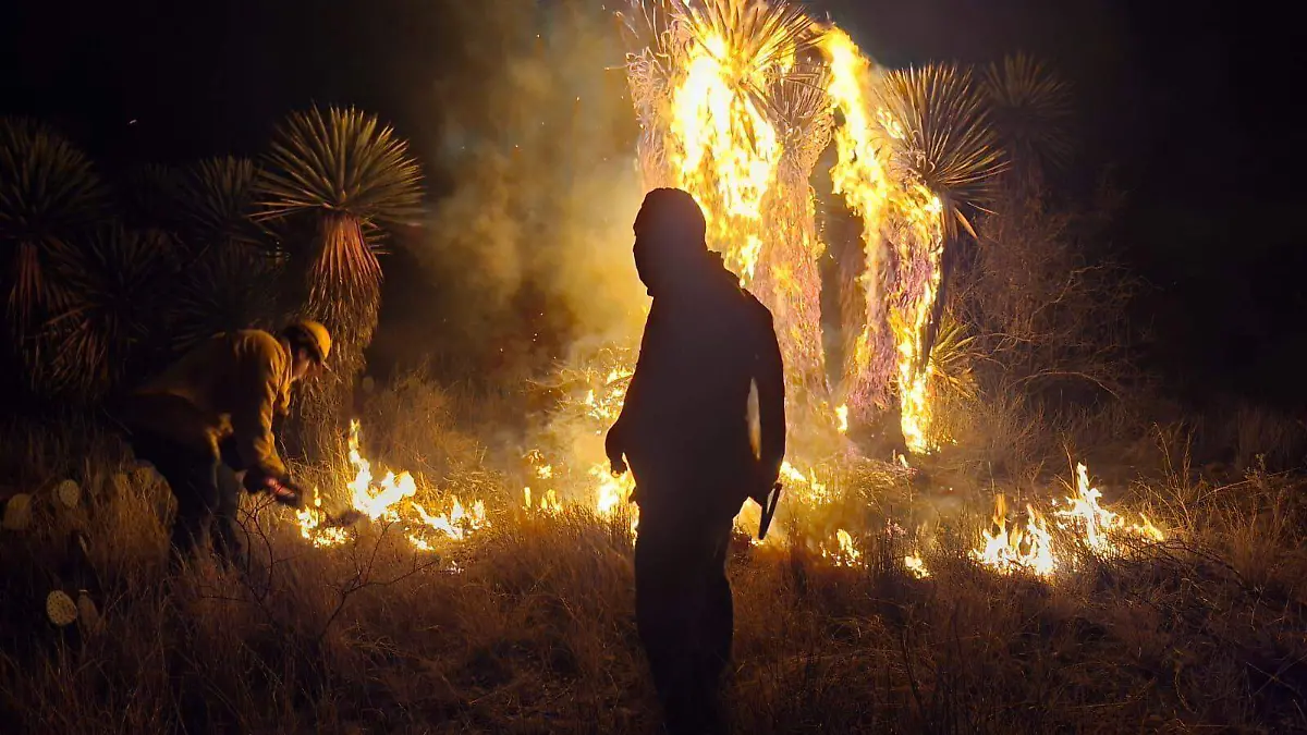 645991474_1342383867925676_5308749607838743380_n