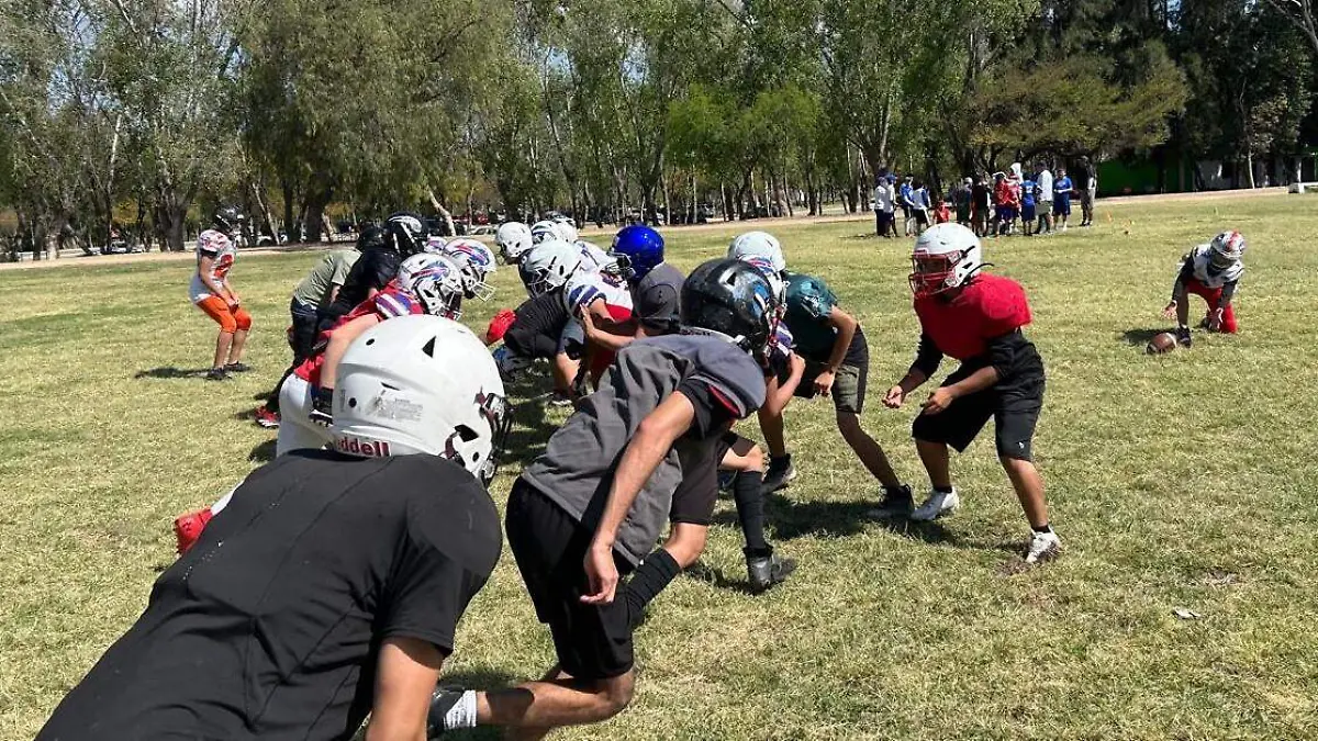 WhatsApp Image 2026-03-04 at 14.33.23