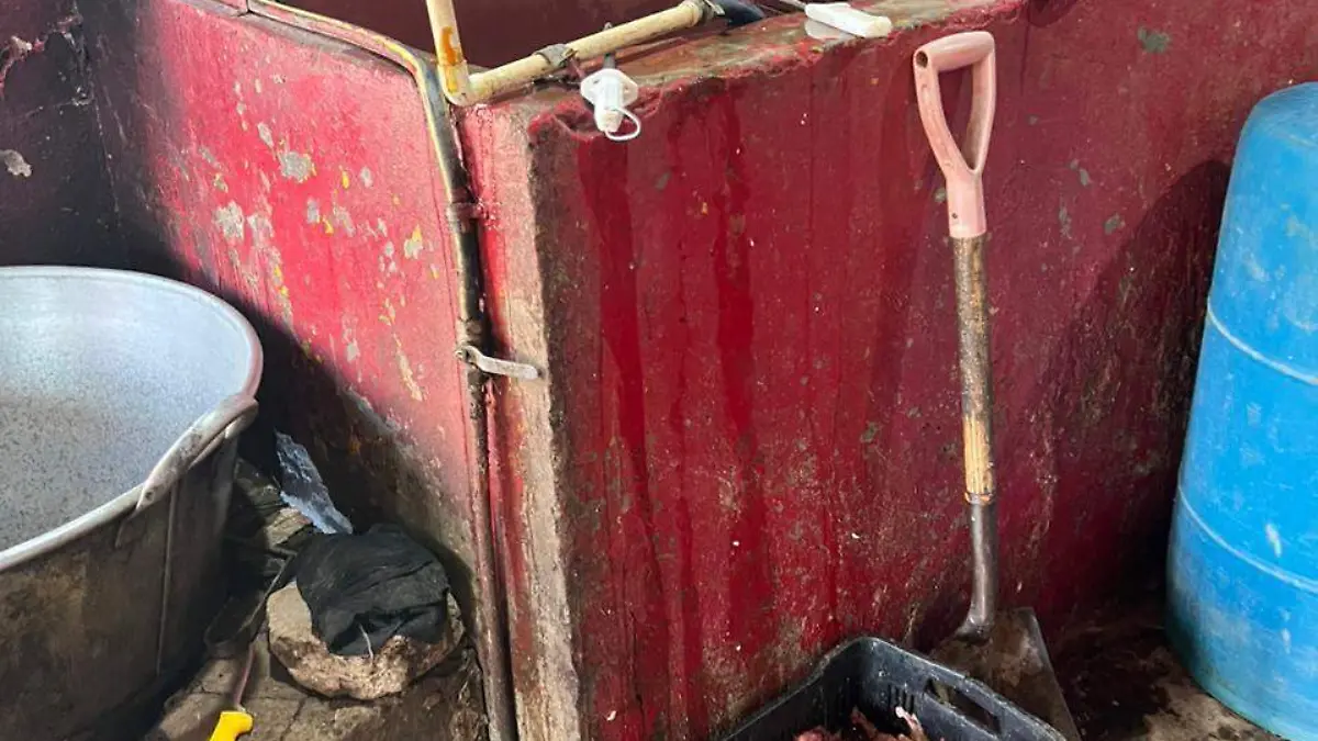 WhatsApp Image 2026-03-04 at 21.01.22