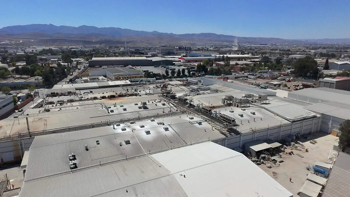 WhatsApp Image 2026-03-04 at 15.37.05