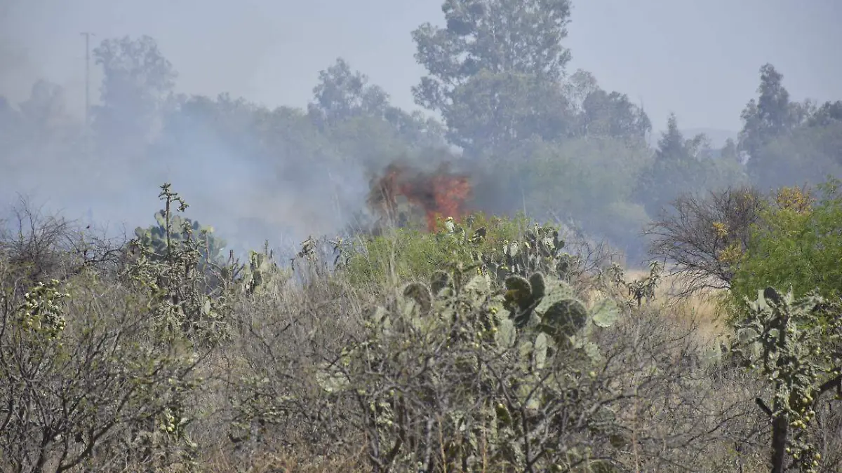 WhatsApp Image 2026-03-04 at 15.56.18