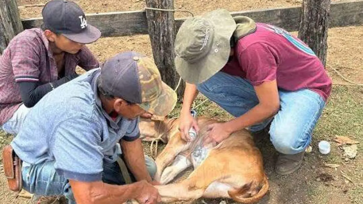 WhatsApp Image 2026-03-04 at 14.32.10