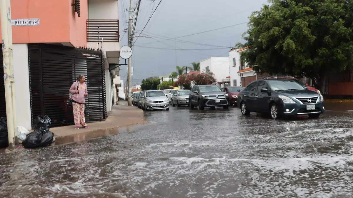 WhatsApp Image 2026-03-05 at 3.08.20 PM