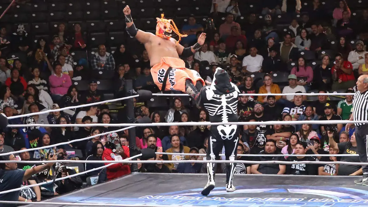 WhatsApp Image 2026-03-05 at 2.15.21 PM (21)