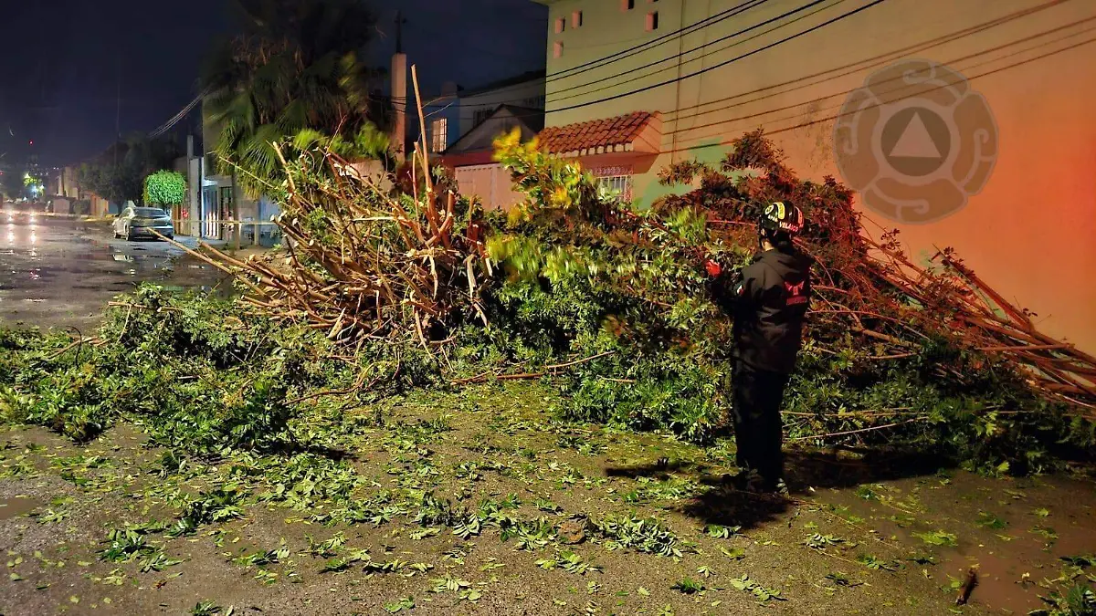 645954786_1365010255655392_2964721401053357039_n