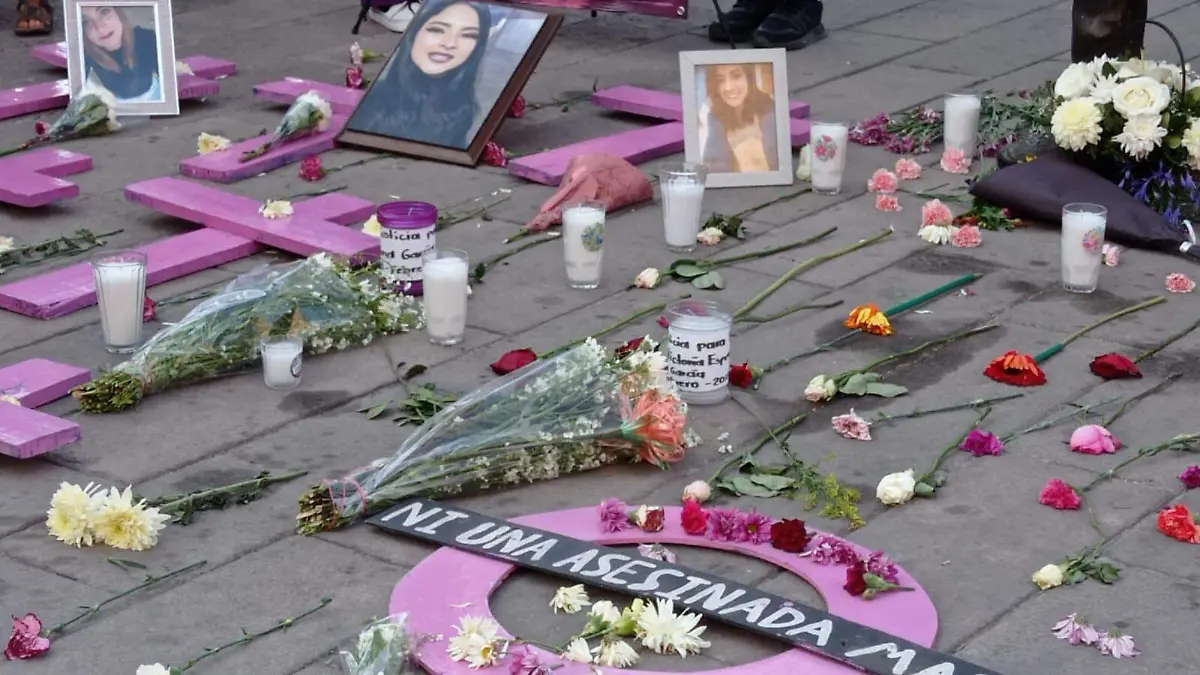 WhatsApp Image 2026-03-07 at 14.18.12