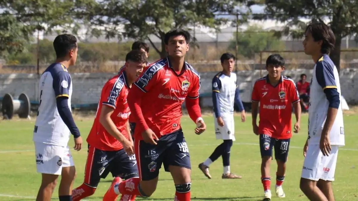 WhatsApp Image 2026-03-08 at 6.17.43 PM