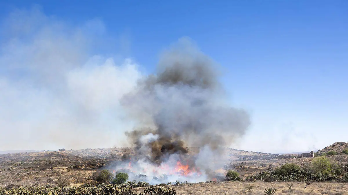 WhatsApp Image 2026-03-08 at 3.31.14 PM