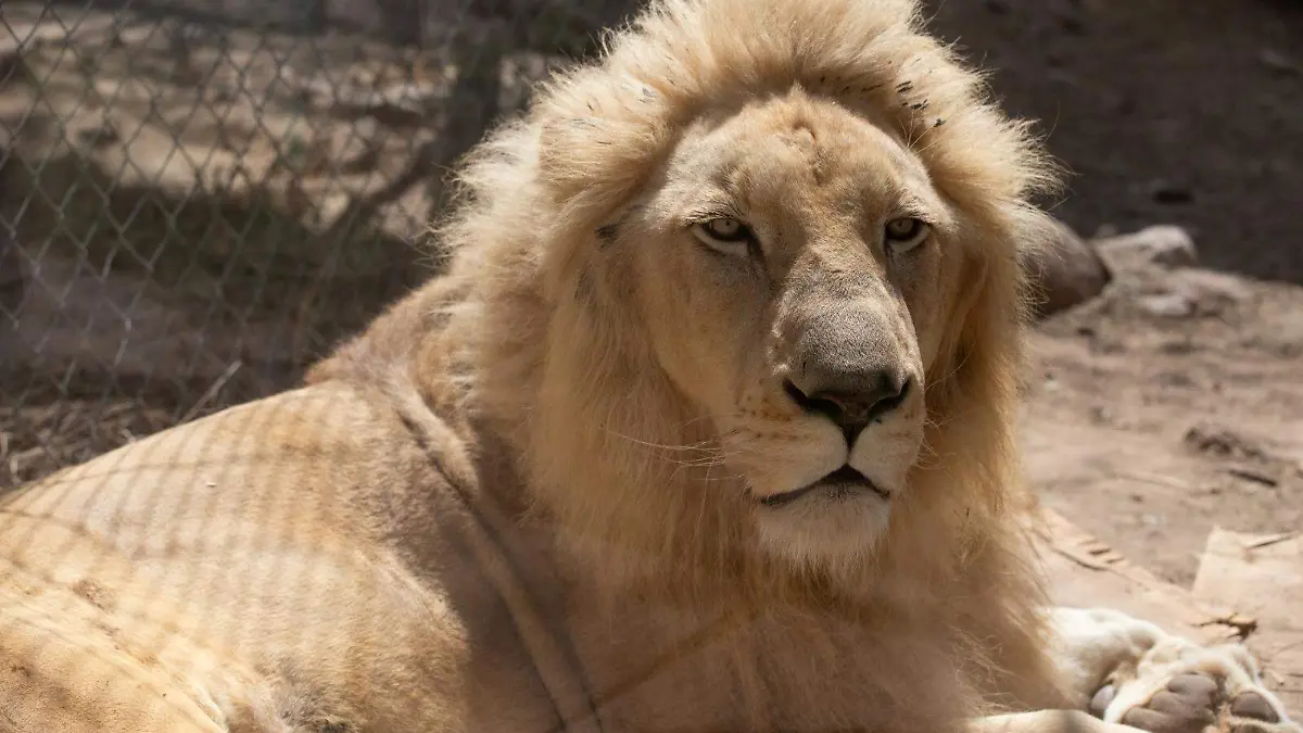 WhatsApp Image 2026-03-06 at 5.41.10 PM