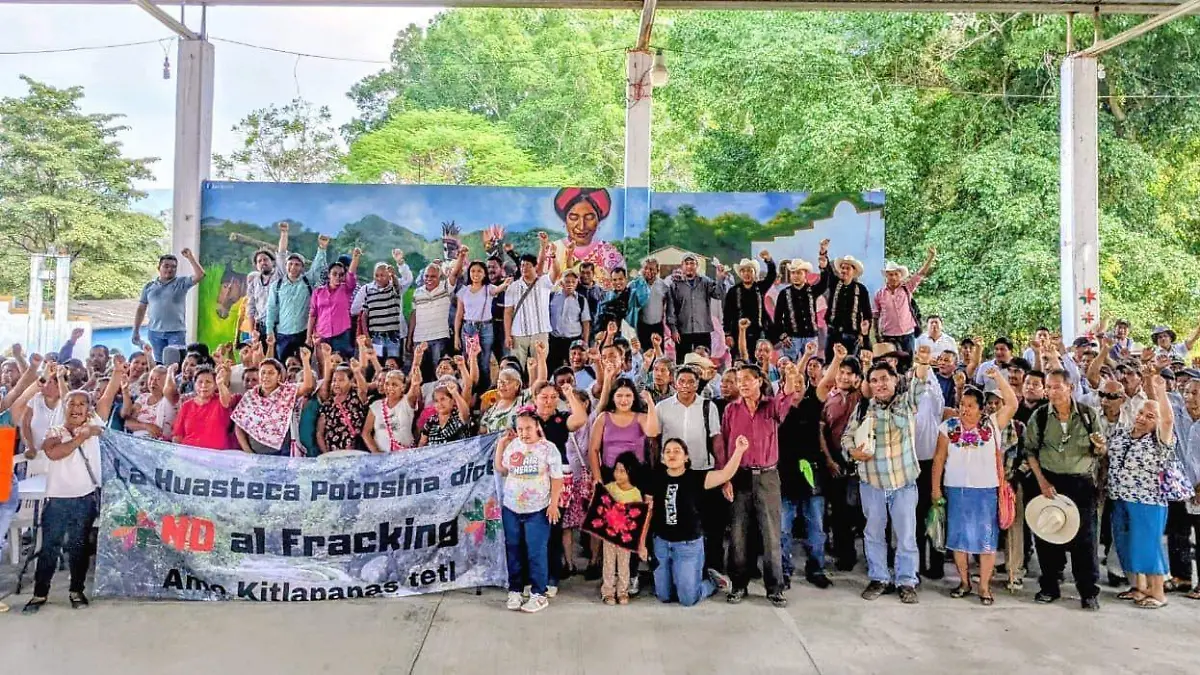 WhatsApp Image 2026-03-11 at 13.59.53