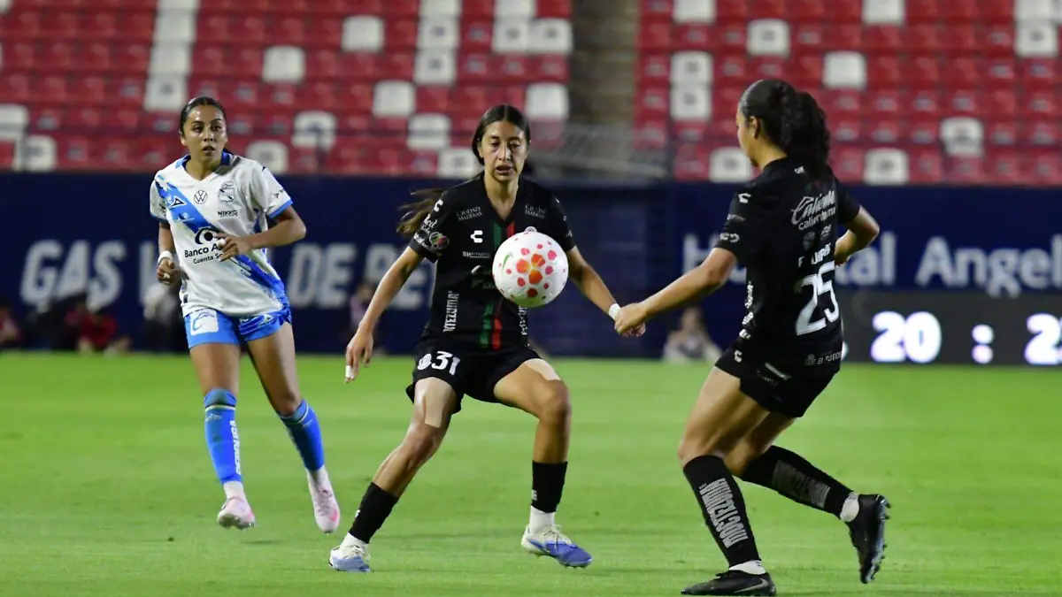 WhatsApp Image 2026-03-11 at 20.36.36