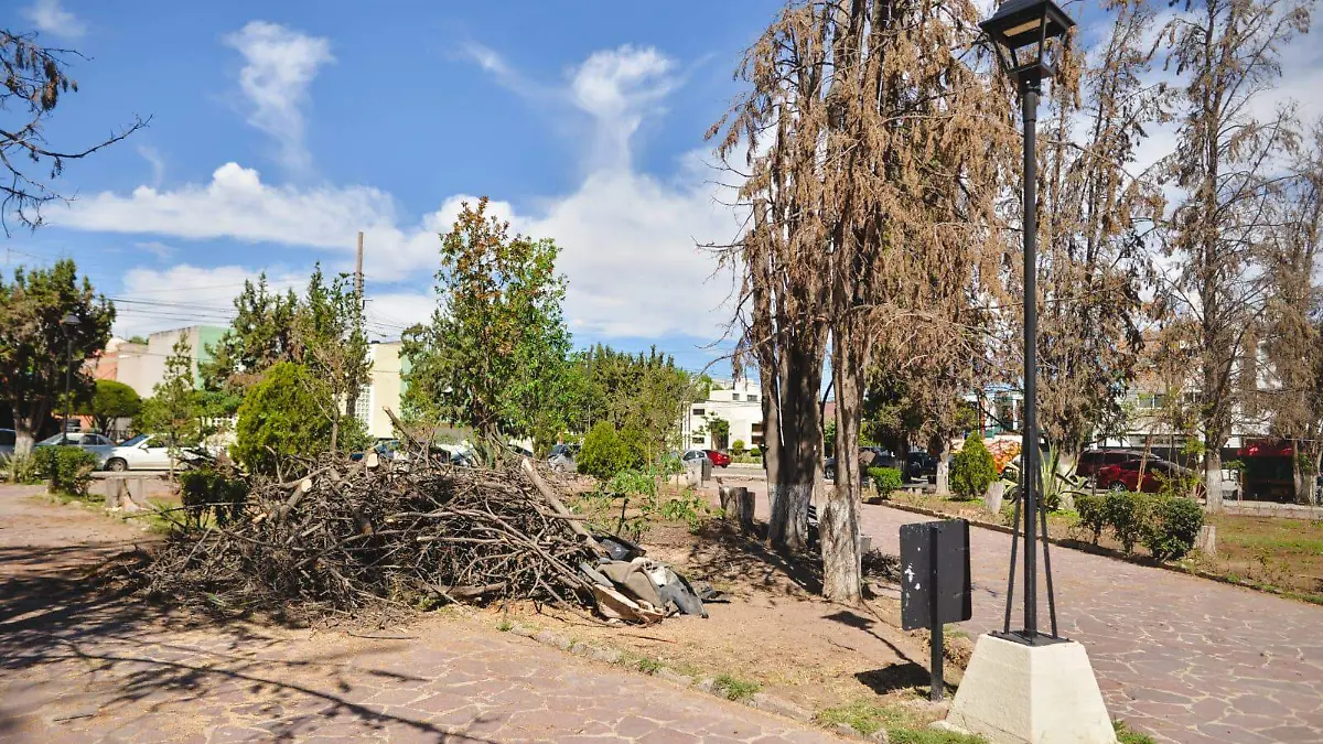 WhatsApp Image 2026-03-11 at 11.24.51