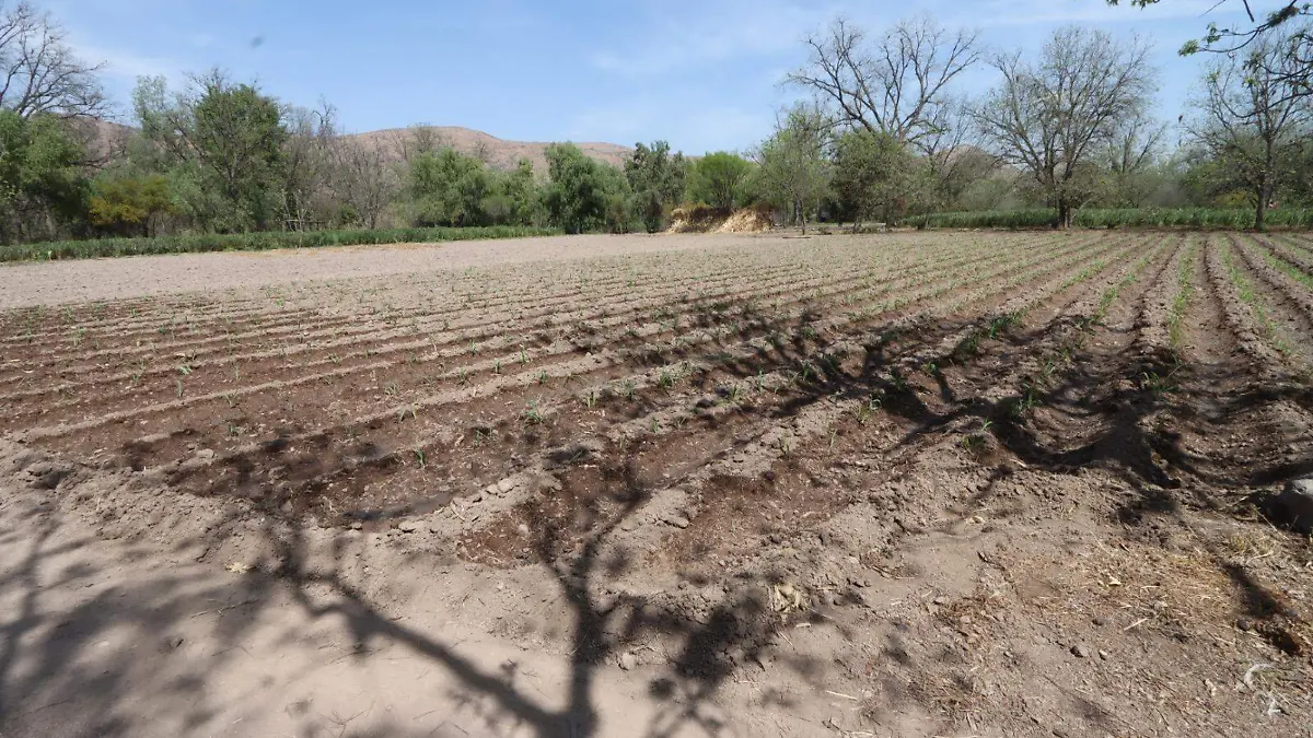 WhatsApp Image 2026-03-11 at 11.54.24