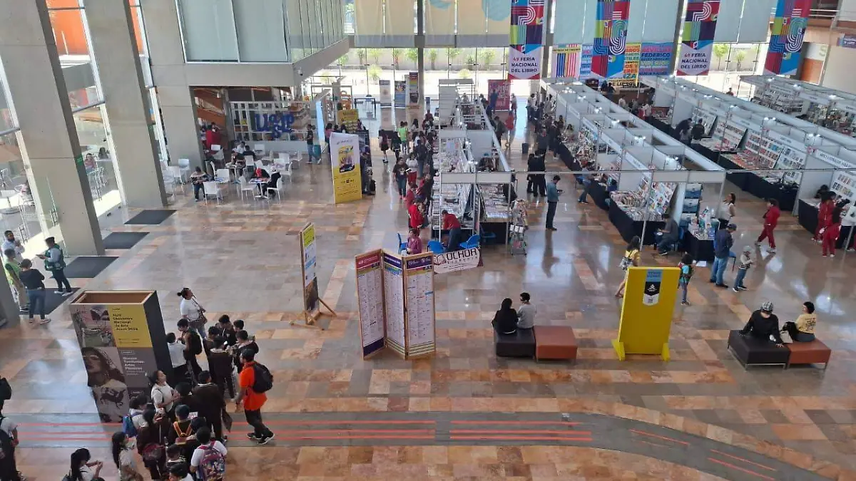 WhatsApp Image 2026-03-12 at 16.31.16