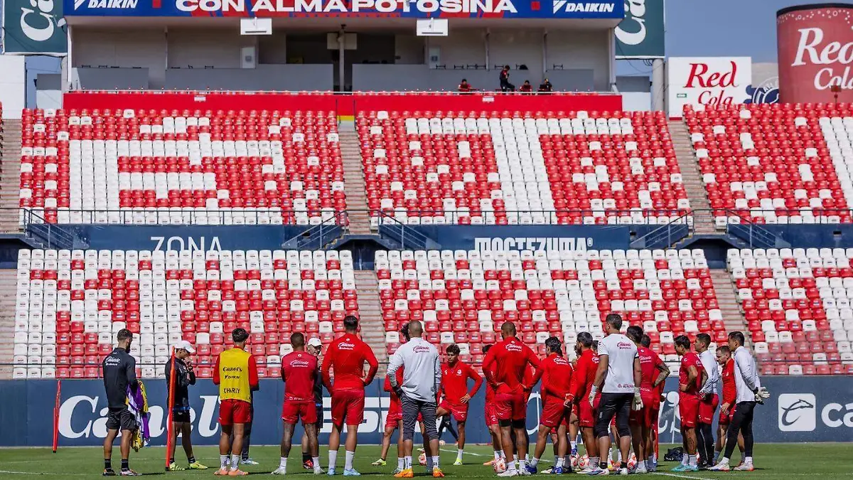 WhatsApp Image 2026-03-12 at 15.35.19