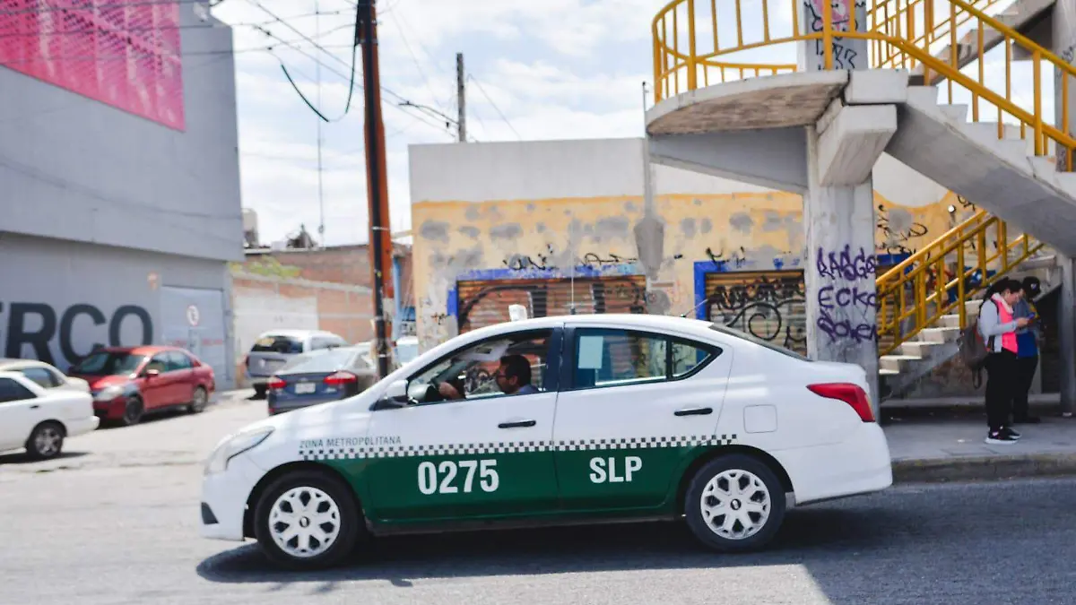 WhatsApp Image 2026-03-12 at 12.42.08