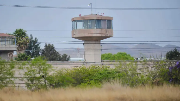 WhatsApp Image 2026-03-12 at 12.38.59