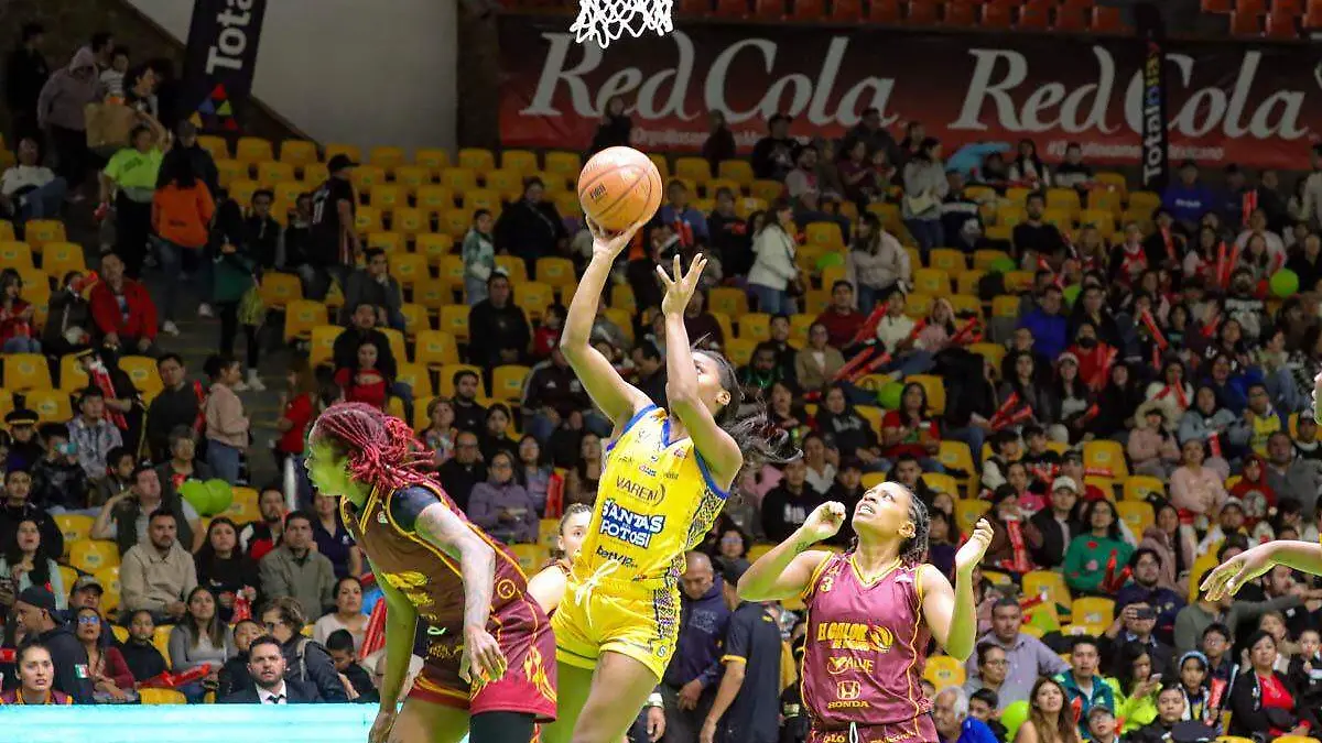 WhatsApp Image 2026-03-12 at 21.54.25