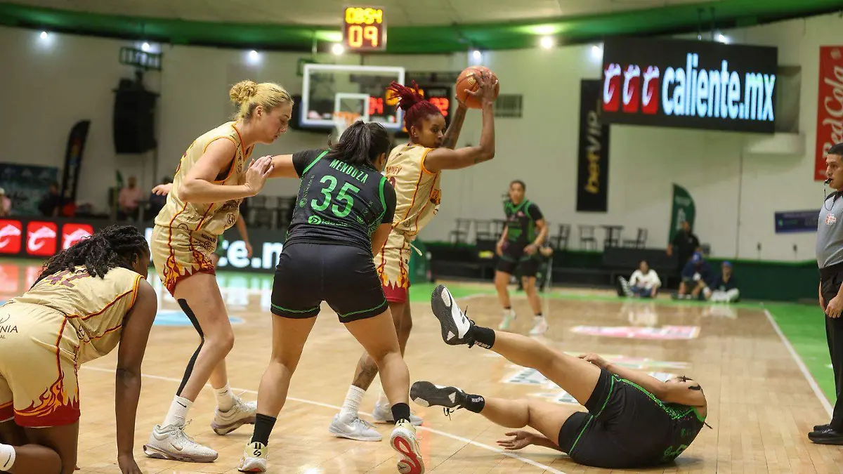 WhatsApp Image 2026-03-13 at 21.22.39