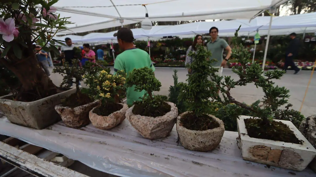 WhatsApp Image 2026-03-14 at 17.48.15 (2)