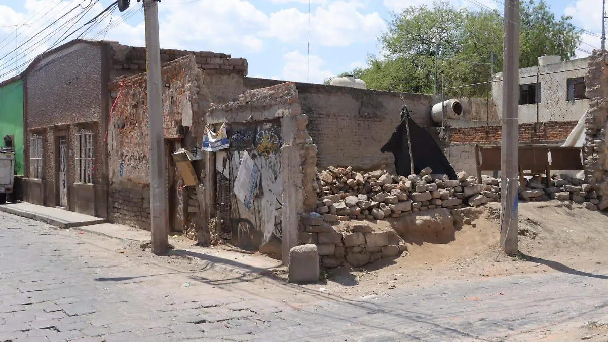 WhatsApp Image 2026-03-14 at 13.03.32