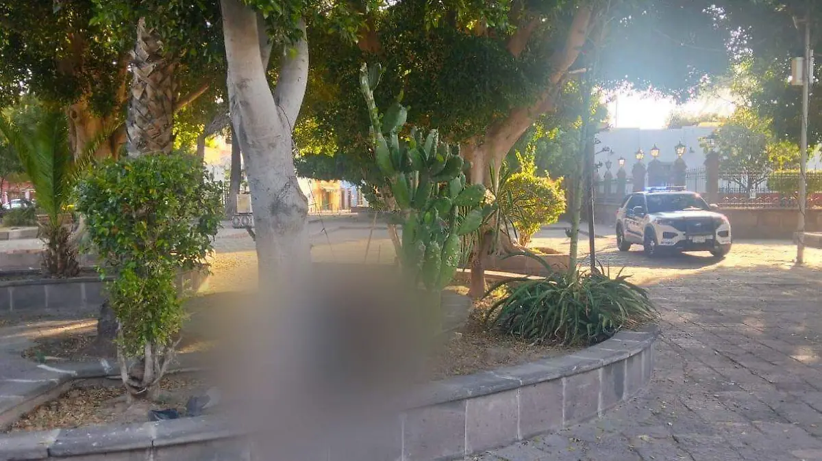 WhatsApp Image 2026-03-16 at 09.39.24