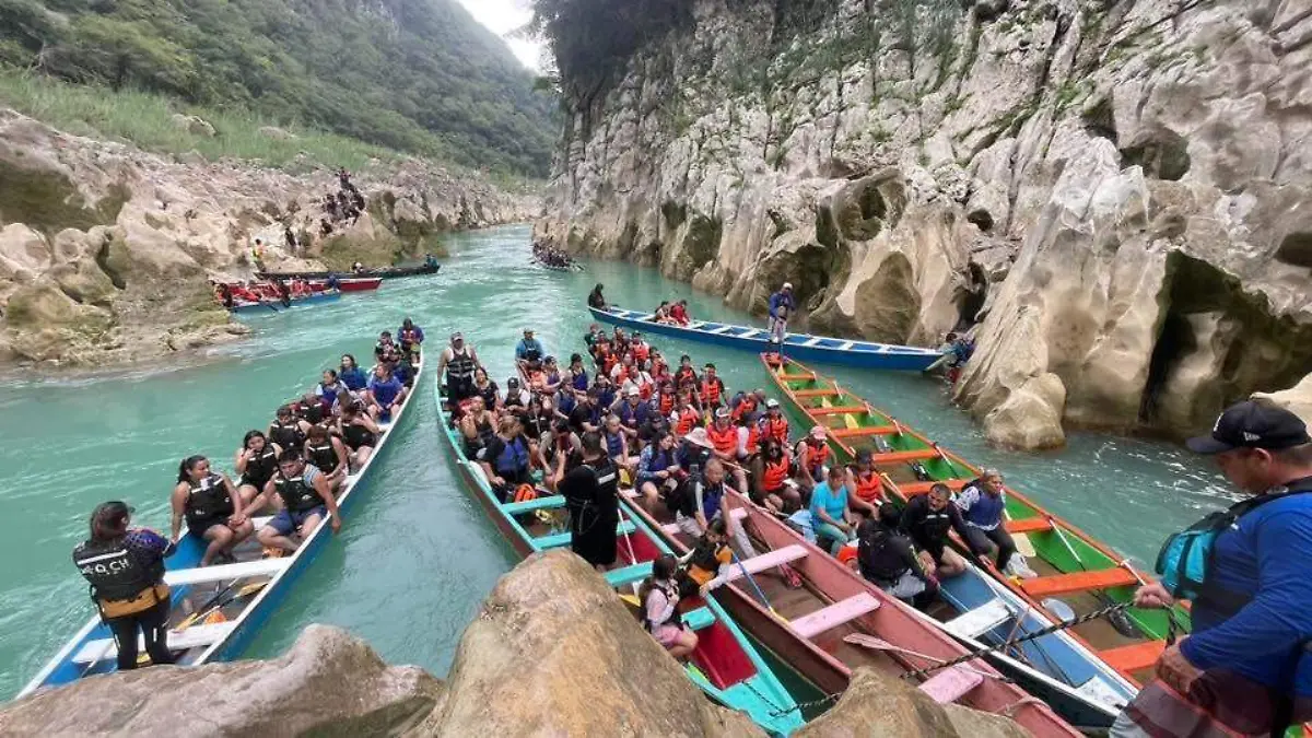 WhatsApp Image 2026-03-16 at 09.58.06