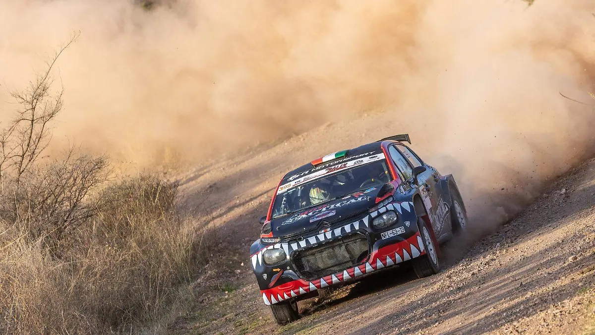 WhatsApp Image 2026-03-16 at 11.00.56