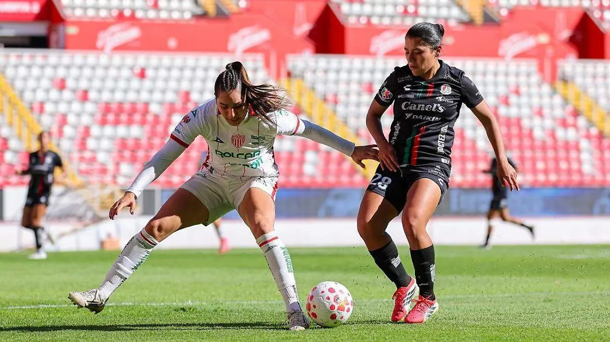 WhatsApp Image 2026-03-16 at 12.33.10