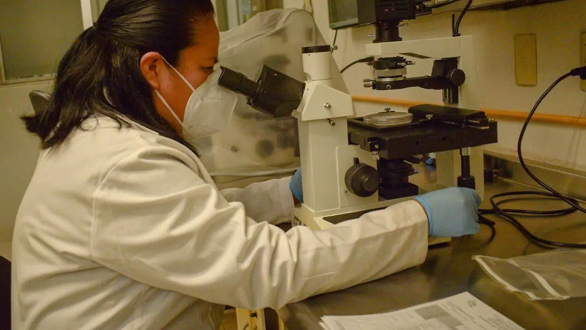 WhatsApp Image 2026-03-16 at 2.56.32 PM