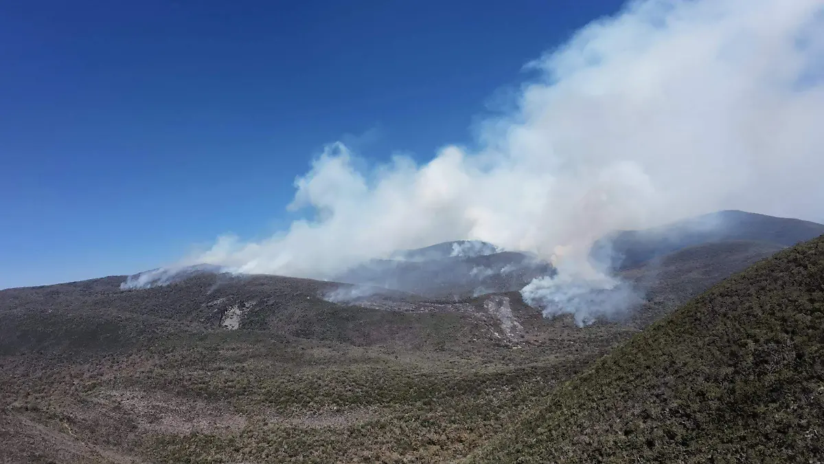 649345565_122206220852558937_8325239647938396265_n