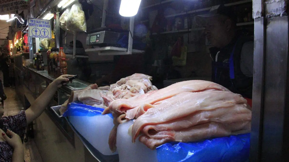 WhatsApp Image 2026-03-16 at 3.07.28 PM