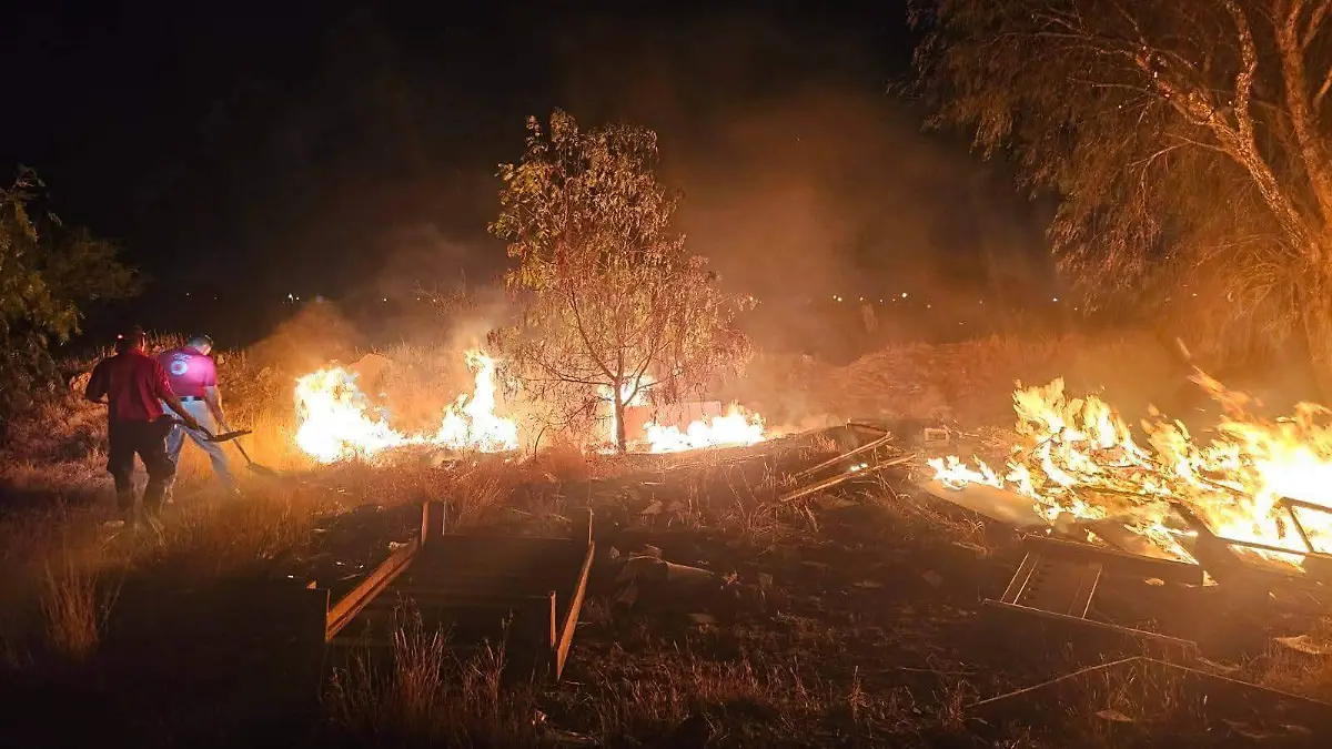 WhatsApp Image 2026-03-17 at 14.08.08