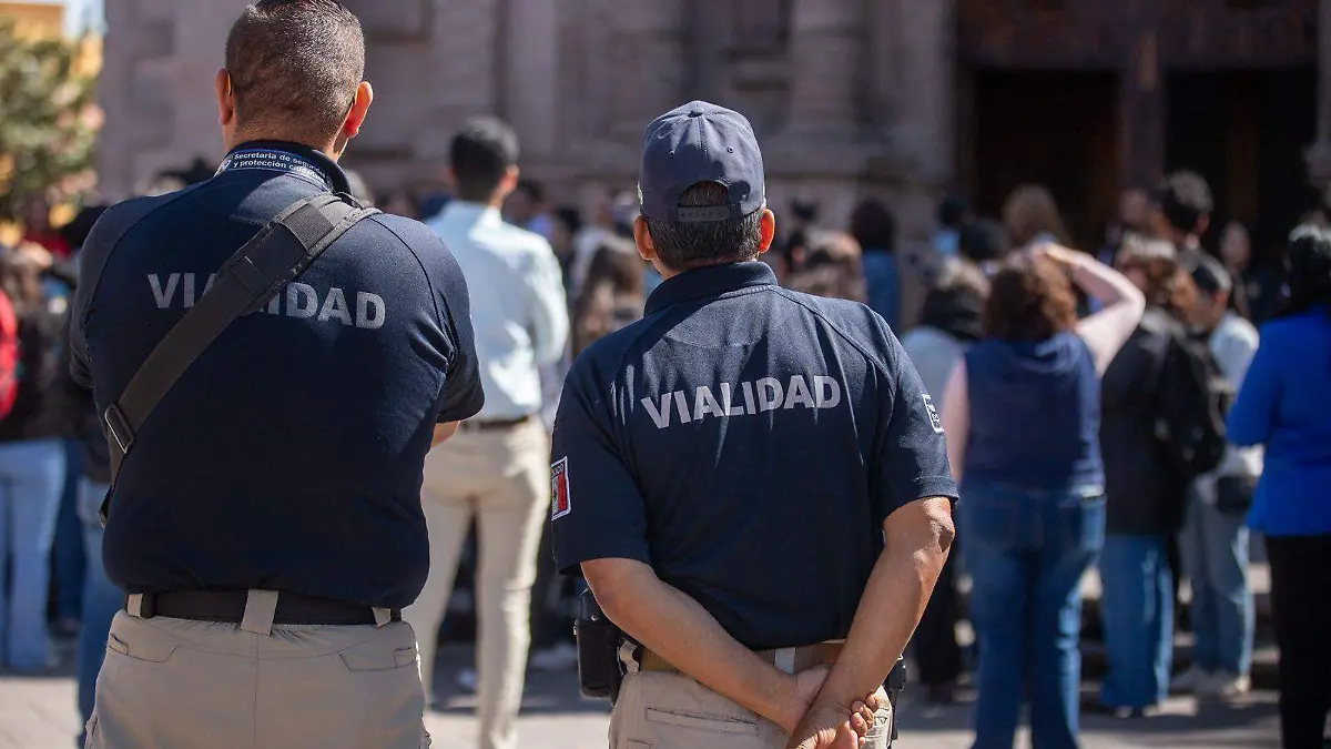 WhatsApp Image 2026-03-19 at 12.16.50