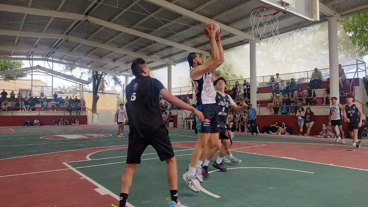 WhatsApp Image 2026-03-19 at 12.54.39