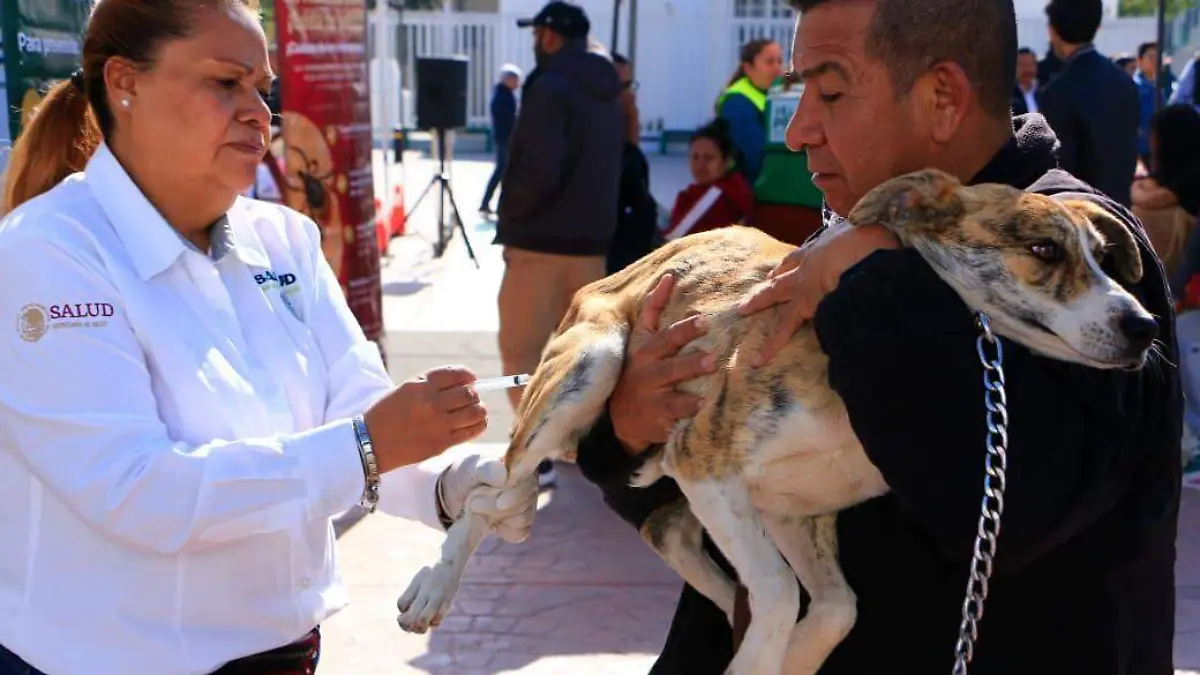 WhatsApp Image 2026-03-19 at 14.02.35