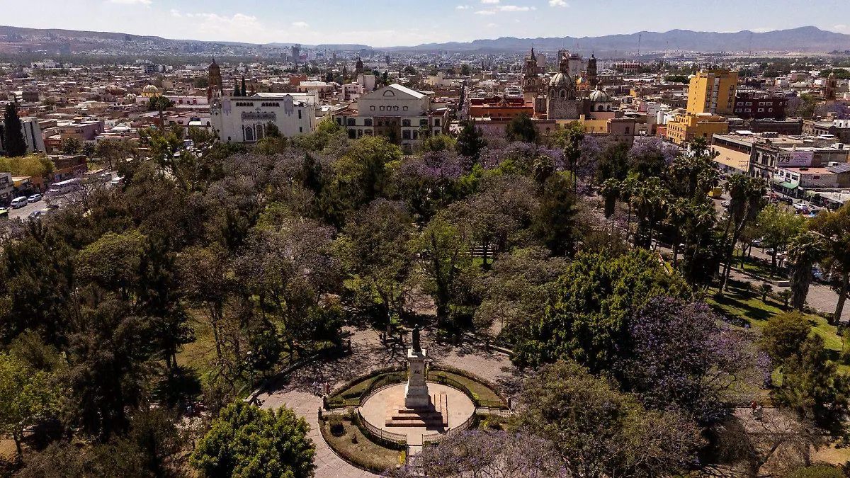 WhatsApp Image 2026-03-20 at 14.19.23