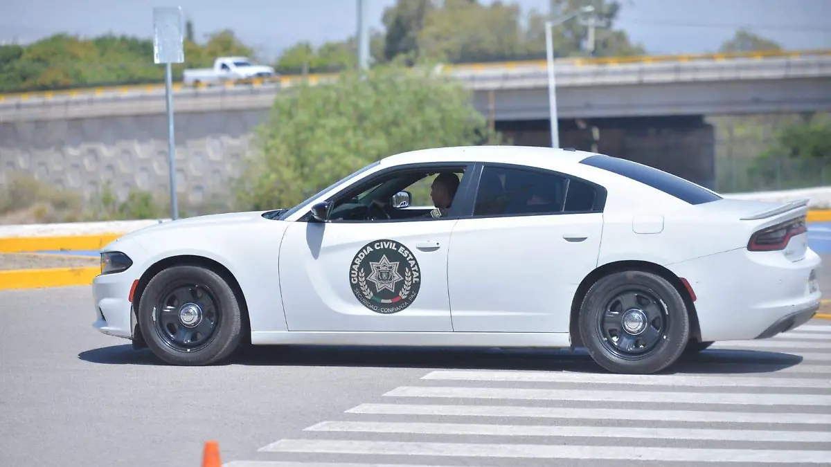 WhatsApp Image 2026-03-20 at 14.13.59