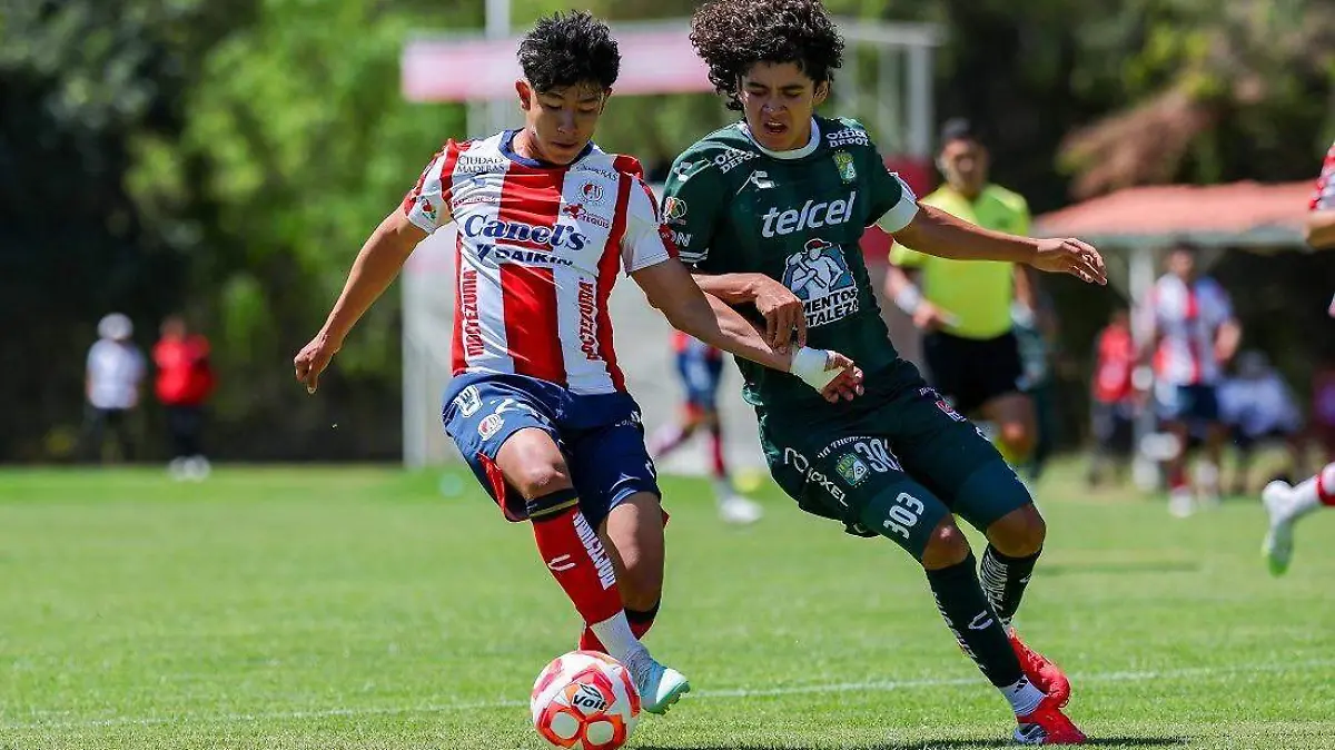 WhatsApp Image 2026-03-22 at 10.58.35 AM