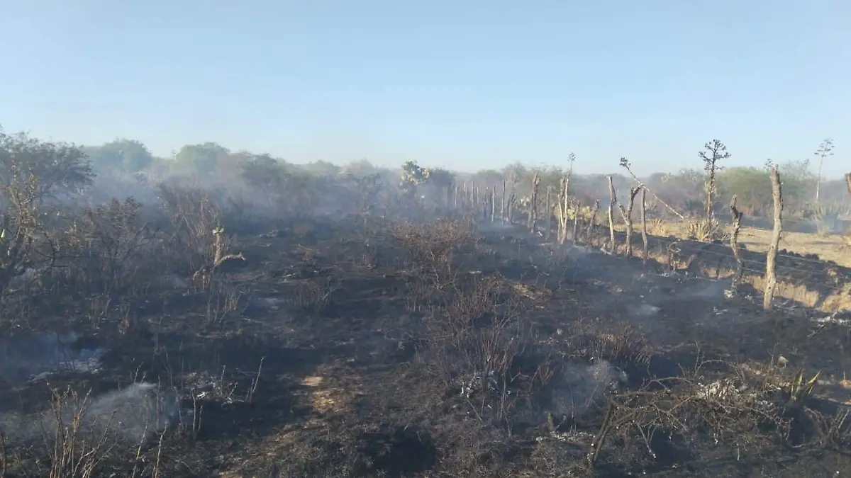 Incendio en Villa de Pozos (1)