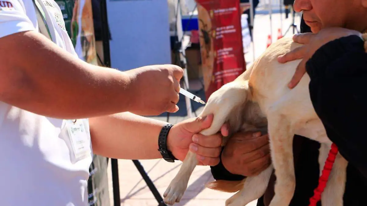 WhatsApp Image 2026-03-23 at 14.09.39