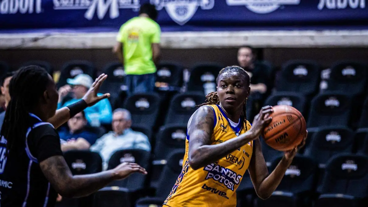 WhatsApp Image 2026-03-23 at 15.26.49