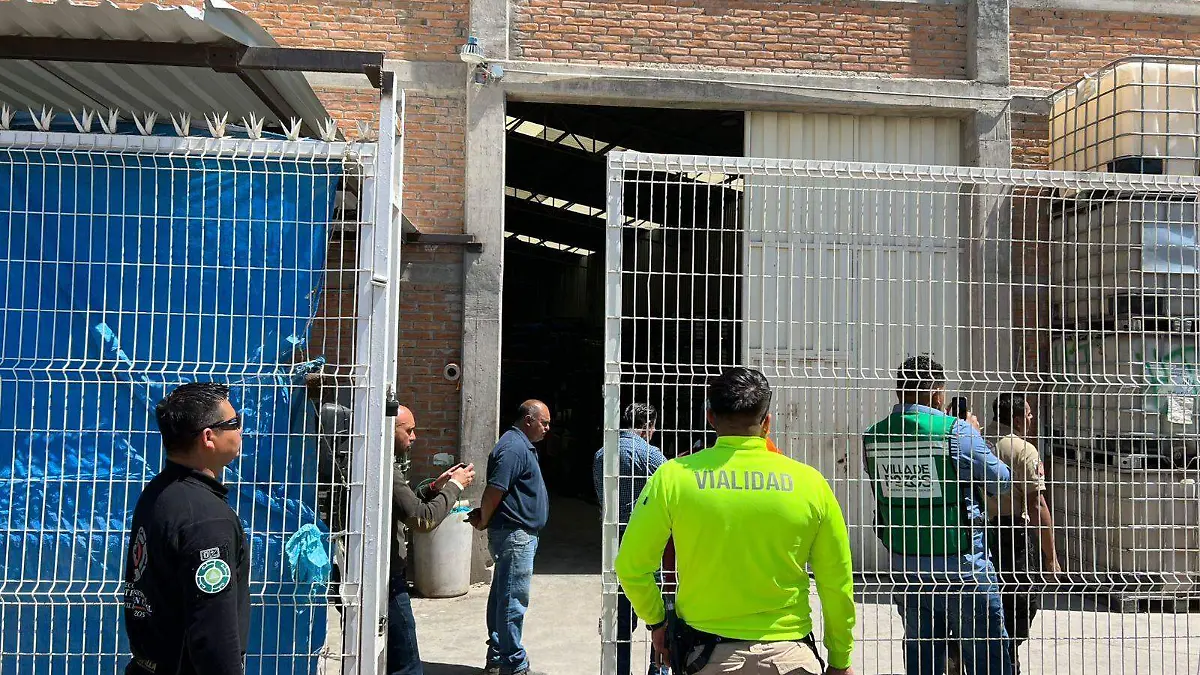 WhatsApp Image 2026-03-24 at 18.06.12