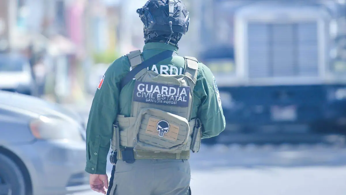 WhatsApp Image 2026-03-24 at 12.18.24