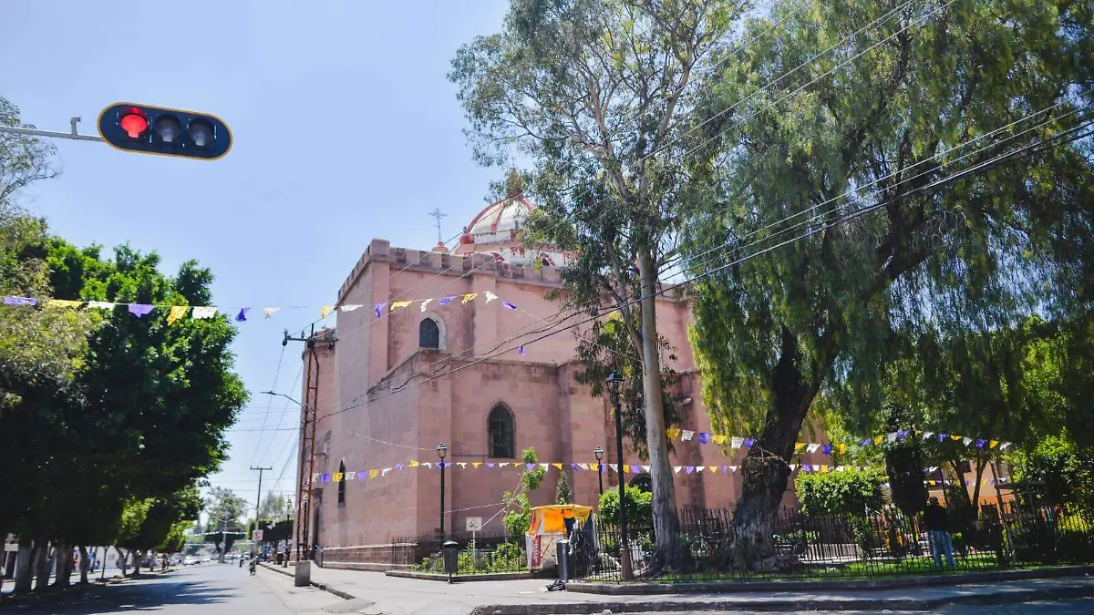 WhatsApp Image 2026-03-24 at 13.00.35