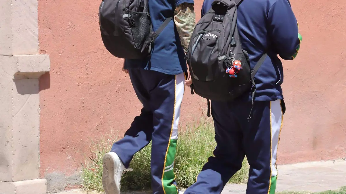 WhatsApp Image 2026-03-25 at 14.13.37