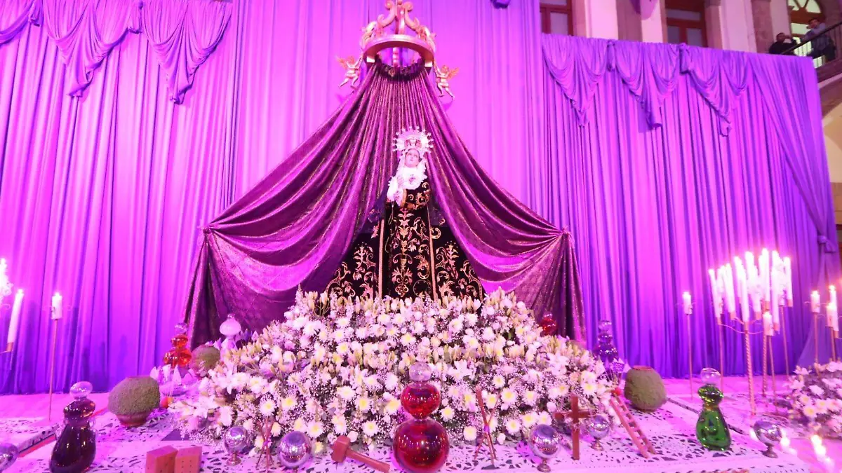 WhatsApp Image 2026-03-25 at 20.00.22