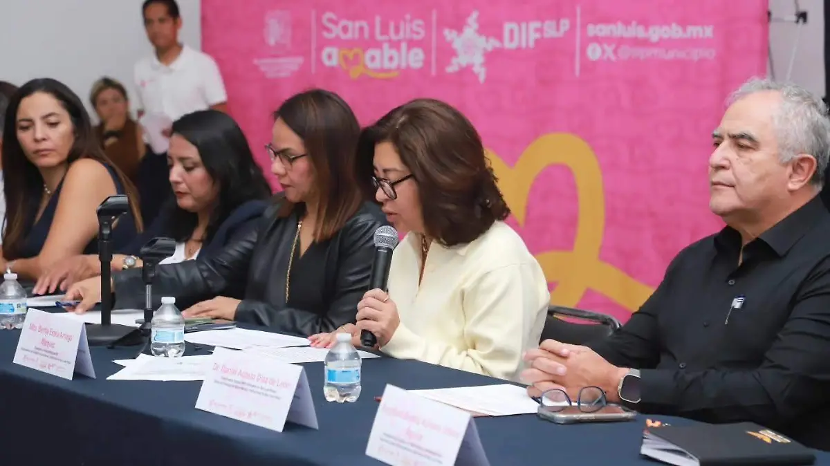 Consejo Municipal de Salud Mental