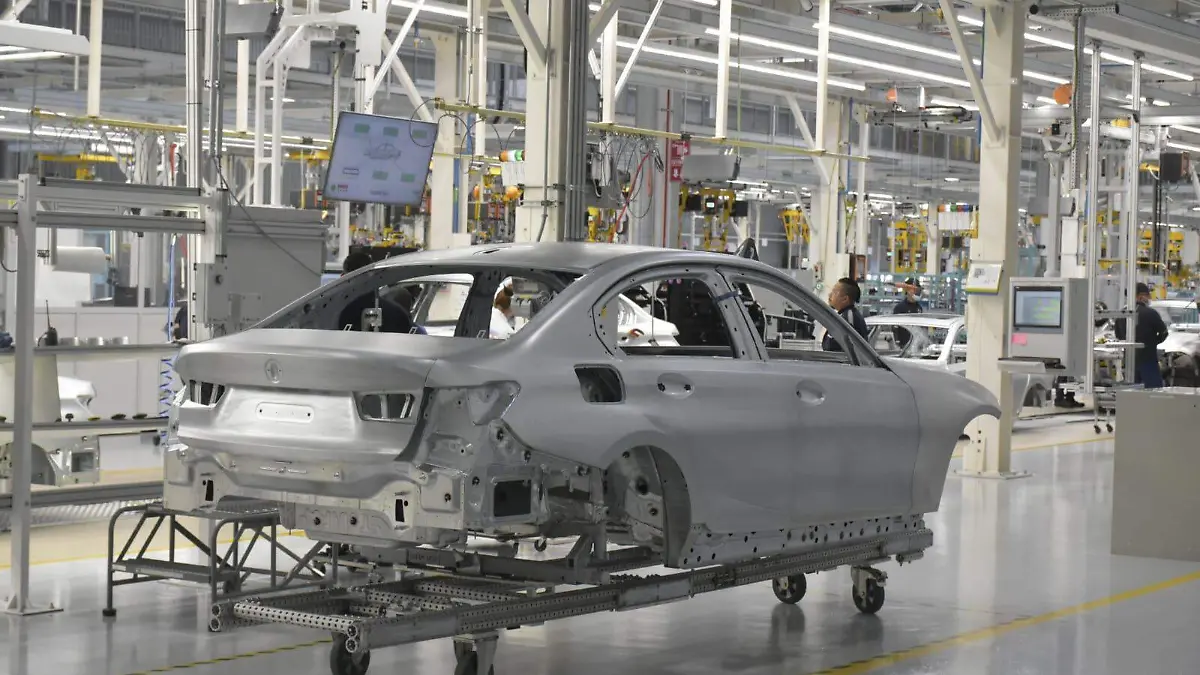 WhatsApp Image 2026-03-26 at 15.22.34